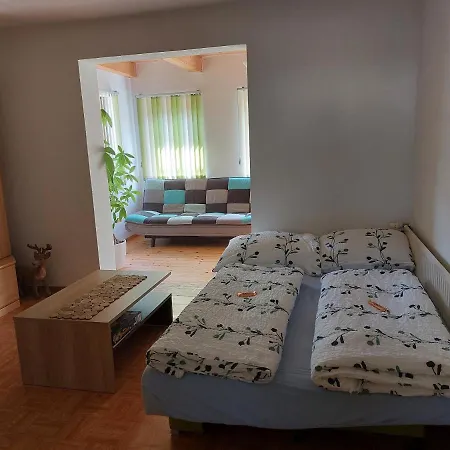 Grimmingapartment Maier 公寓 *