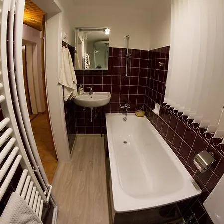 公寓 Grimmingapartment Maier Stainach