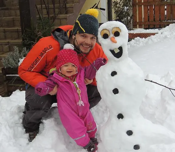 Grimmingapartment Maier Apartament